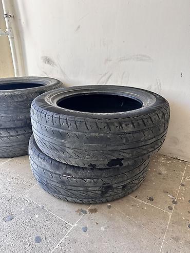 260 teker: 2022 ci ilin təkərləridi normal vəziyətdədi — 1