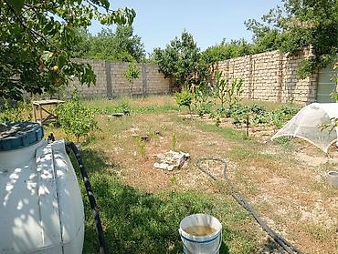 qusarda yer satilir: 6 sot, Tikinti, Makler, Kupça (Çıxarış) — 1