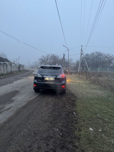 Lexus: Lexus RX: 2009 г., 3.5 л, Автомат, Бензин, Кроссовер — 2