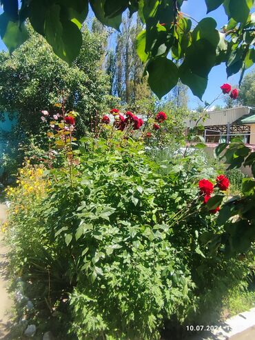 Продажа домов: Дом, 200 м², 11 комнат, Собственник at lalafo.kg — 8 Продажа домов: Дом, 200 м², 11 комнат, Собственник — 8