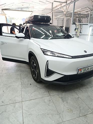 Dongfeng: Dongfeng : 2026 г. — 11