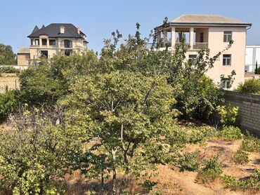 Bağ evlərinin satışı: Bağ evi / həyət evi - İki mərtəbəli tikili, üstü mansardvari hündür — 2