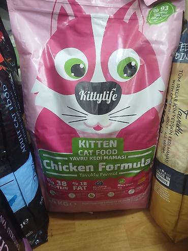 сухой корм для кошек: Kittylife Adult Sterilised Cat Food – Salmon Formula, 10 кг - Сухой — 5