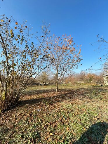 Torpaq sahələrinin satışı: 18 sot, Tikinti, Kupça (Çıxarış) — 2