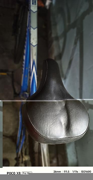 ролер: Горный велосипед PHILLIPS 770 - Размер колес: 26" - Рама: стальная — 2