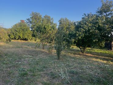 Torpaq sahələrinin satışı: 10 sot, Tikinti, Mülkiyyətçi, Kupça (Çıxarış) — 5