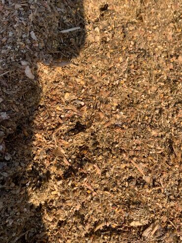 Корма для с/х животных: Силос кукурузный - Корм для КРС, МРС и свиноводства - Однородная — 10