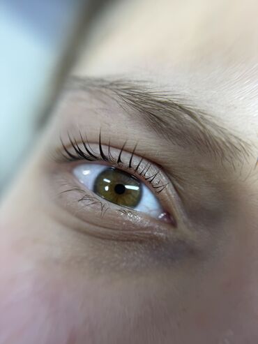 Ресницы: Ресницы, 2D, 3D, Классика, Консультация, Требуются модели, Гипоаллергенные материалы — 7