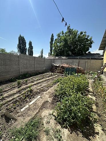 Продажа коттеджей и домов: 📍 В Сокулуке район Черемушек продаётся кирпичный дом на участке 4 — 3