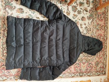 Kurtkalar: Kurtka, Bolonka, Qış, Philipp Plein, M — 9