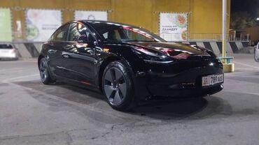 Tesla: Tesla Model 3: 2023 г., 10, Автомат, Электромобиль, Седан