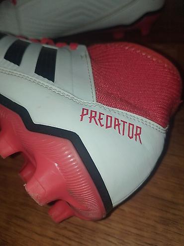 Kopačke: Adidas Predator kopačke za travu - Model: Predator (serija s — 11