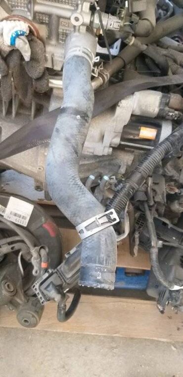 Другие автозапчасти: Патрубки охлаждения Toyota Camry XV40 2AZFE 2007 (б/у) at lalafo.kg Другие автозапчасти: Патрубки охлаждения Toyota Camry XV40 2AZFE 2007 (б/у)