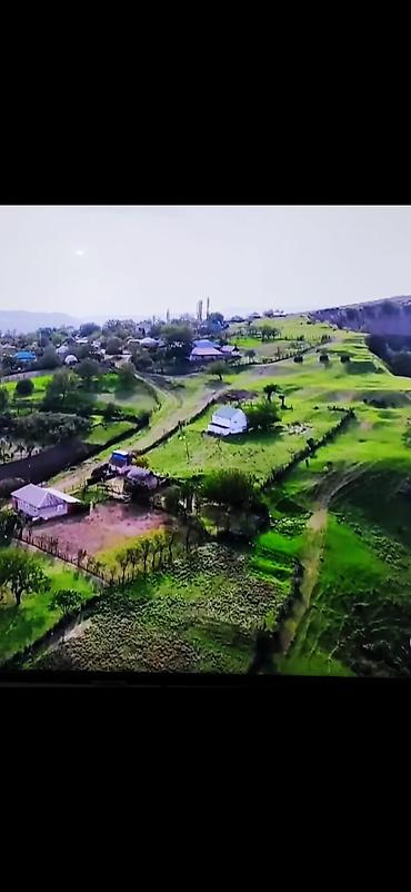 şirvanda torpaq satışı: Ismayilli Veng kendi 14.5 sot torpaq sarilir sotu 580 azn. hazir 12 m — 1