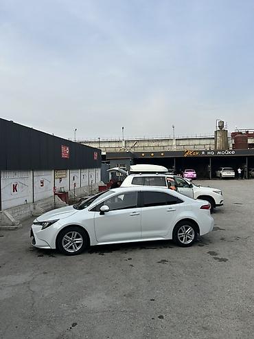 с 180: Toyota Corolla: 2020 г., 1.8 л, Автомат, Гибрид, Седан — 4