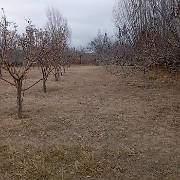Продажа участков: 25 соток — 19