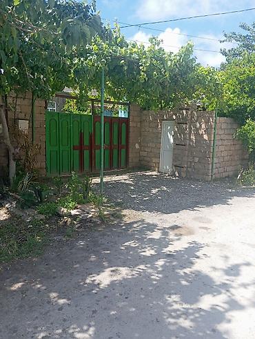 bağca satılır: Bakı, Buzovna, 200 kv. m, 6 otaqlı, Hovuzlu, İnternet, Qaz, İşıq — 2