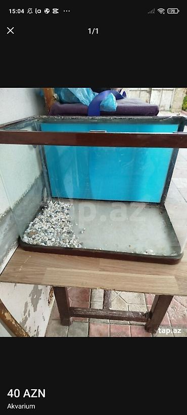 Akvaryum – şüşə korpuslu, düzbucaqlı forma. Üst çərçivə və kənarlar
