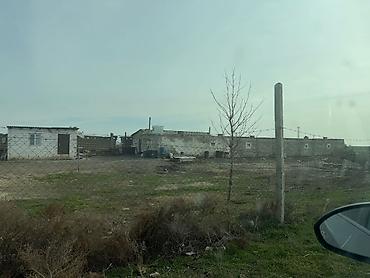 mese torpagi: 70 sot, Tikinti, Mülkiyyətçi — 5