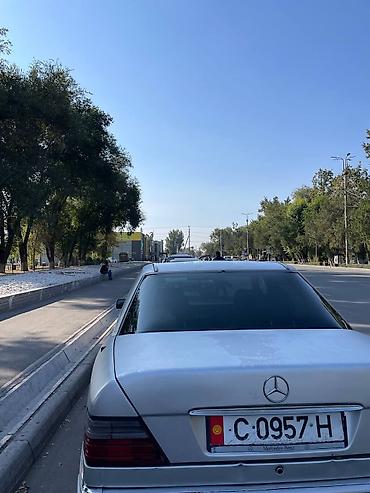 листва на 124: Mercedes-Benz W124: 1992 г., 2.2 л, Механика, Бензин, Седан — 4