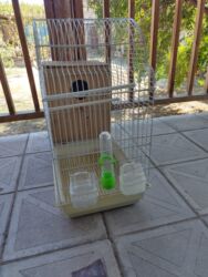 Информатика: Quş qəfəsi və yuvalama qutusu dəsti - Material: ağ rəngli metal