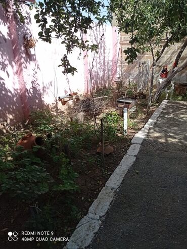 Həyət evləri və villaların satışı: 6 otaqlı, 3000 kv. m, Kredit yoxdur, Orta təmir -da lalafo.az — 8 Həyət evləri və villaların satışı: 6 otaqlı, 3000 kv. m, Kredit yoxdur, Orta təmir — 8