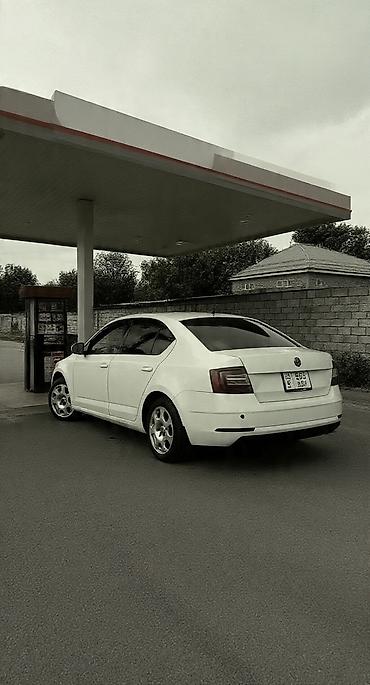 октавиа а7: Skoda Octavia: 2016 г., 1.6 л, Автомат, Бензин, Лифтбек — 7