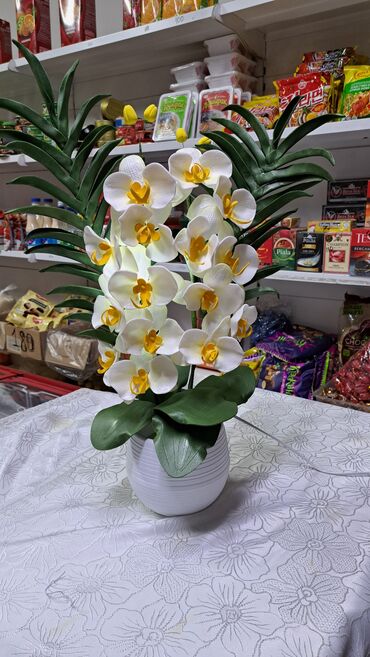 Утепленные жилеты: Орхидея 
Орхидея светильник 
Цветы Бишкек
Светильник 
Ручнаяработа — 3