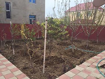 lalafo sirvan ev: Mehdiabad 5 otaqlı, 190 kv. m, Kredit yoxdur, Yeni təmirli — 2