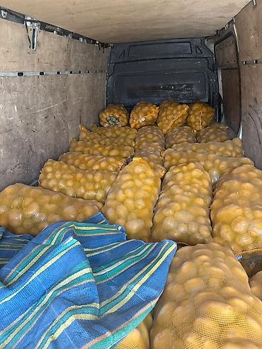 Жашылчалар: Картошка Джелли, Дүң — 2