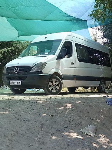 Автобус на заказ: Спринтер на заказ на любые направление походы на природу свадьбы at lalafo.kg — 5 Автобус на заказ: Спринтер на заказ на любые направление походы на природу свадьбы — 5