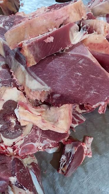 курбан кара: Халал мясо “Мурок” (Бишкек) - Говядина/телятина: конина? На фото — 3