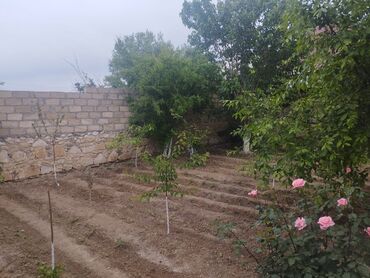 Həyət evləri və villaların satışı: 3 otaqlı, 78 kv. m, Kredit yoxdur, Yeni təmirli -da lalafo.az — 7 Həyət evləri və villaların satışı: 3 otaqlı, 78 kv. m, Kredit yoxdur, Yeni təmirli — 7