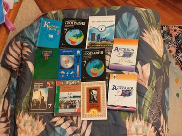 Алгебра: Продаю книги за 7 класс. все в хорошем состоянии, литература немного
