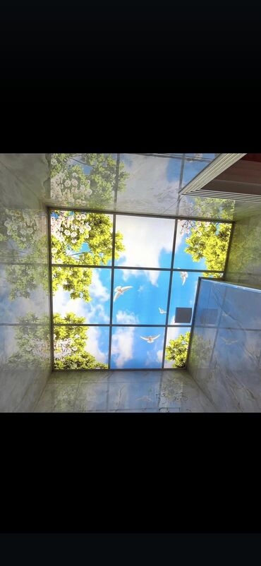 Asma tavanlar: Asma tavan, Orqsteklo, Suyadavamlı, Pulsuz çatdırılma, Pulsuz quraşdırma, Zəmanətli — 23