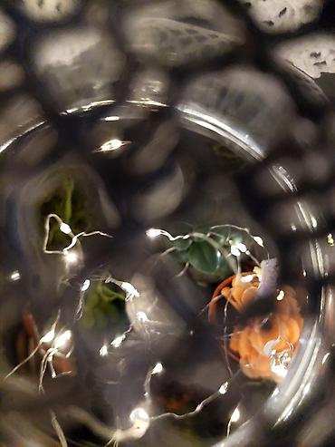 suni bitki: Dekorativ şüşə kompozisiya – işıqlı miniatür “terrarium” lampası - — 2