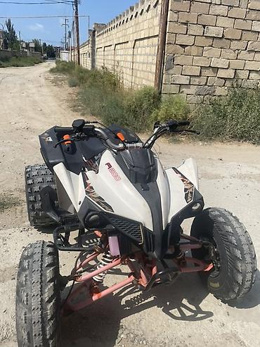 mini atv: Kayo - A 300, 320 sm3, 2022 il, 2000 km — 3