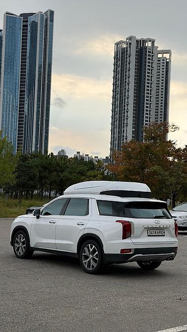 сопротивление: Hyundai Palisade: 2021 г. — 7