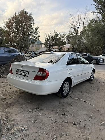camry 55 exclusive: Toyota Camry: 2003 г., 2.4 л, Автомат, Бензин, Седан — 8