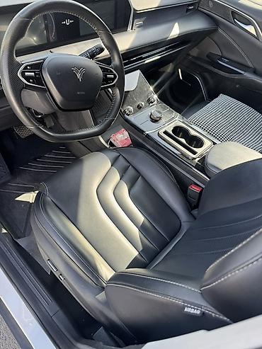 JMEV: JMEV : 2022 г., 3 л, Автомат, Электромобиль, Кроссовер — 6