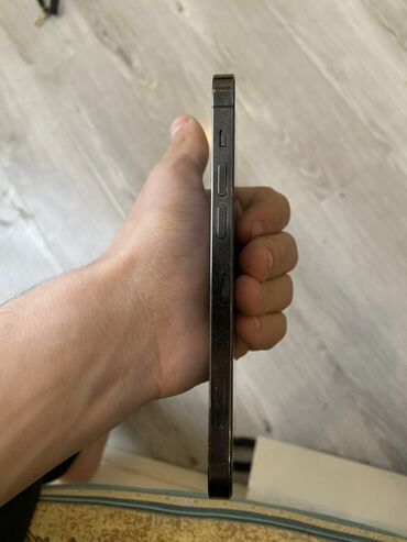 Apple iPhone: IPhone 12 Pro, Graphite, Face ID