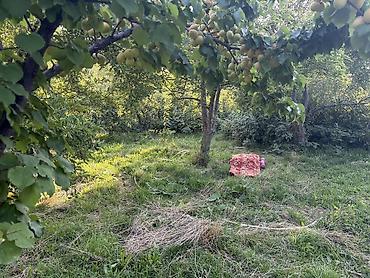 Продажа домов: Домик с участком 12 соток, в центре поселка Каджи сай, с панорамным — 9