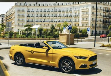 Nəqliyyat vasitəsinin icarəsi: Günlük, Ford, Depozitsiz — 14