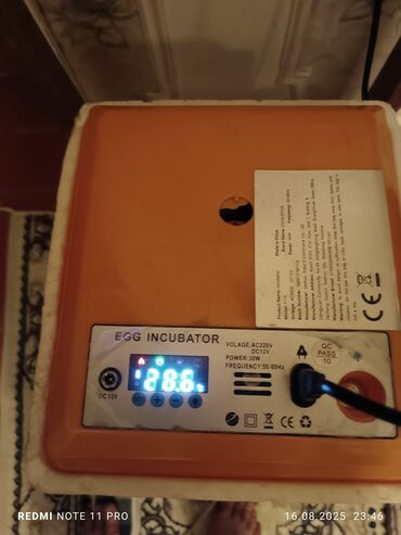 inkubator avadanliqlari: Bu yumurta inkubatoru kiçik quşçuluq təsərrüfatları və ya ev