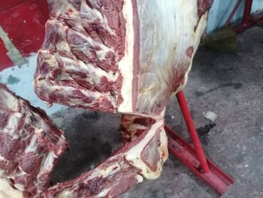 мяса рубка: Мясо конина чучук по оптовым ценам. Ош рынок, от 10 кг до 300 кг