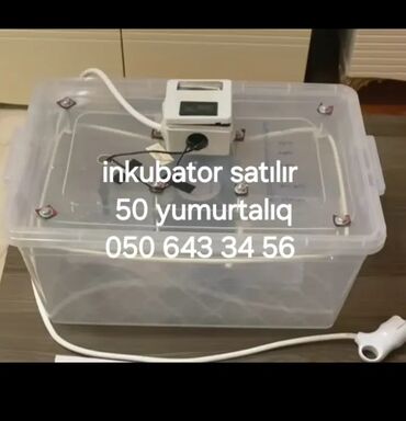 inkubator ucun termostat: İnkubatorlar