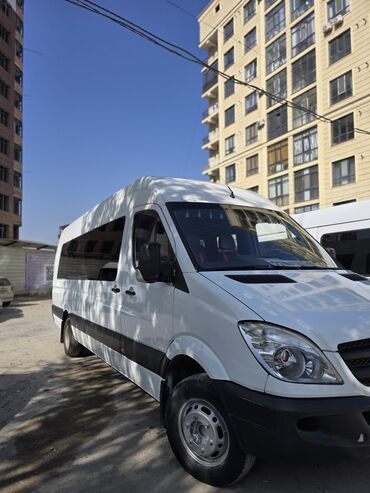 ремонт козырьков: Mercedes-Benz Sprinter (длинная база, высокий кузов), белый цвет
