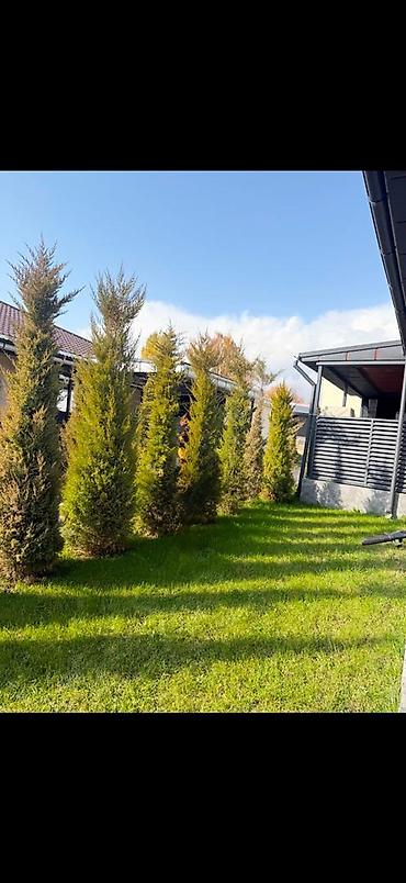 Посуточная аренда квартир: 3 комнаты, Интернет, Wi-Fi, Бронь, Бытовая техника — 1