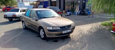 Opel: Opel Vectra: 2 l | 1996 il Sedan — 10