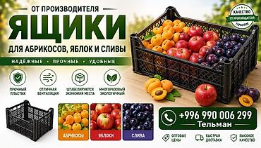 выдвижные ящики: Пластиковые ящики для абрикосов, яблок и сливы - От производителя - — 1